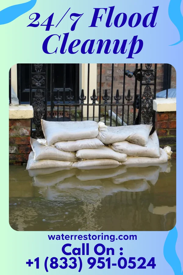 24/7 Flood Cleanup in Cunard, WV