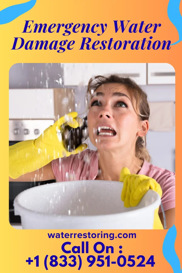 Emergency Water Damage Restoration in Cunard, WV