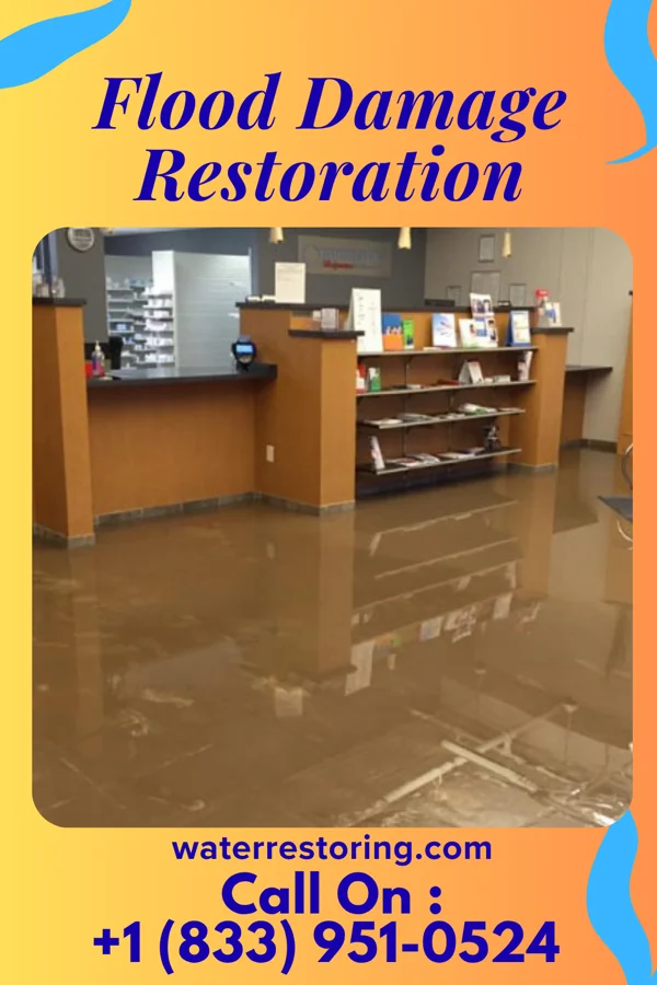 Flood Damage Restoration in Cunard, WV