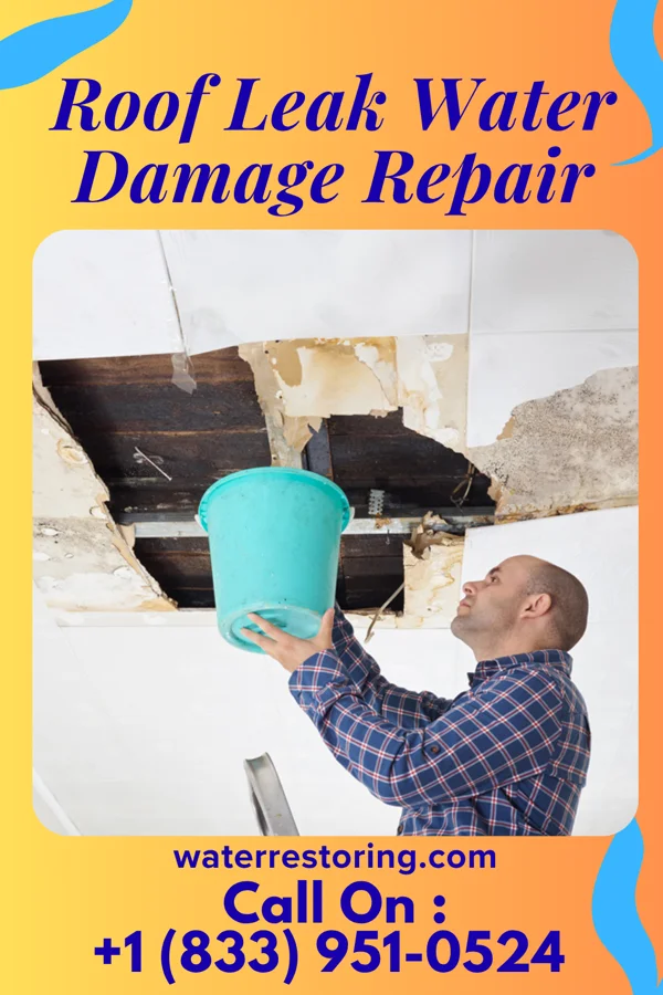 Roof Leak Water Damage Repair in Cunard, WV