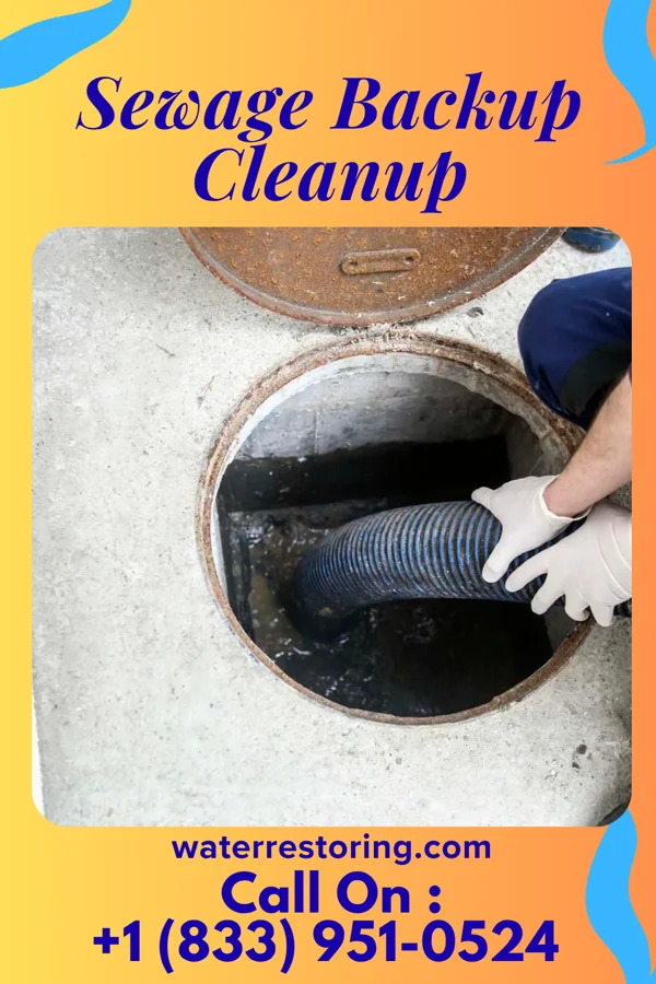 Sewage Backup Cleanup in Cunard, WV