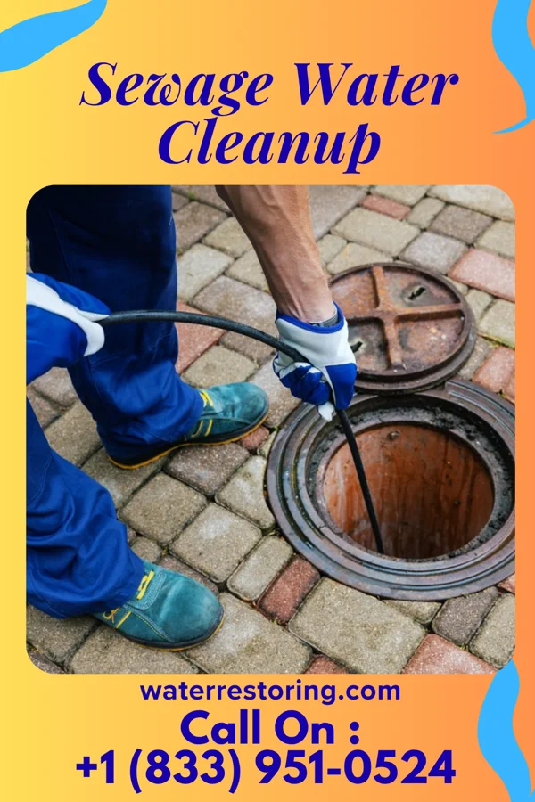 Sewage Water Cleanup in Cunard, WV