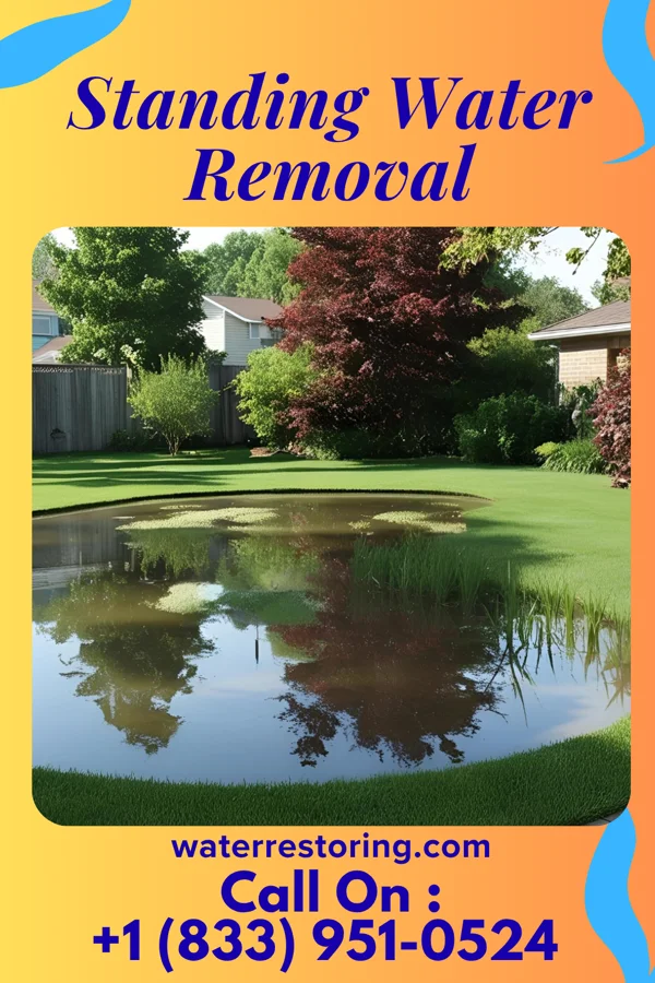 Standing Water Removal in Cunard, WV